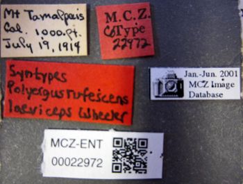 Media type: image;   Entomology 22972 Aspect: labels